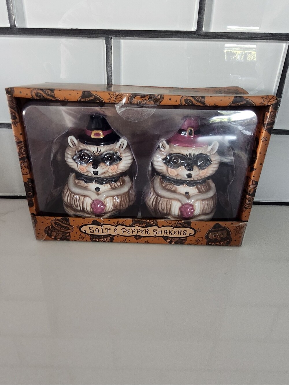 Johanna Parker Raccoon Boy Gorl Salt & Pepper Shakers - Fall Decor